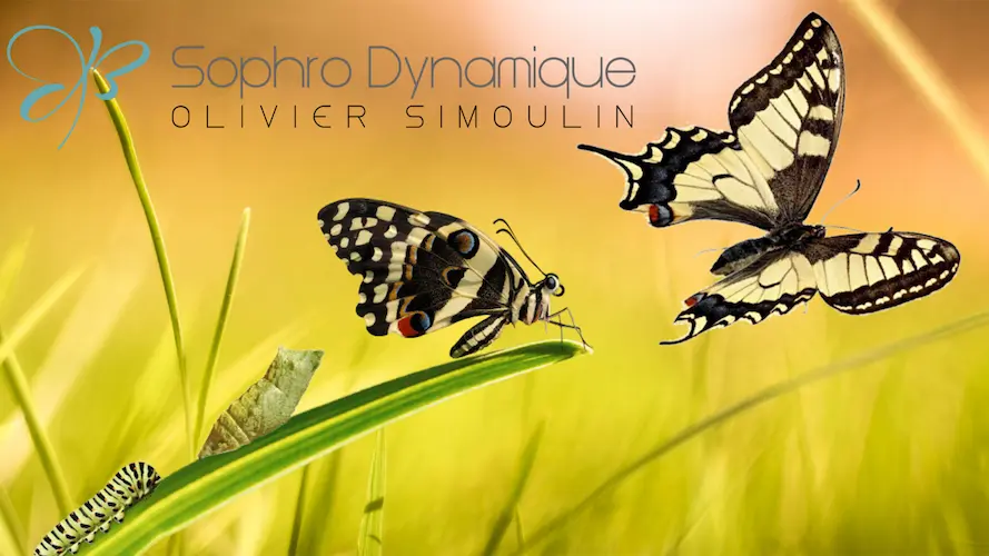Olivier SIMOULIN
